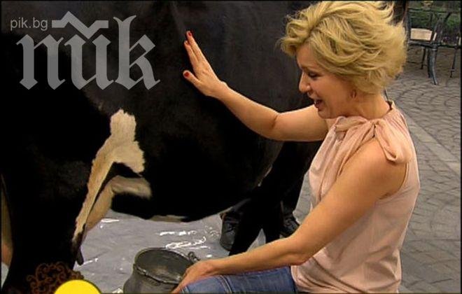 Гала води На кафе по пантофи