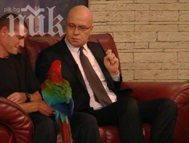 Папагалът на Слави нападна публиката, зрител щеше да получи инфаркт