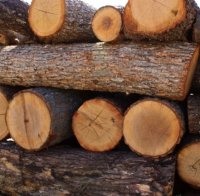 Закопчаха крадец на дърва