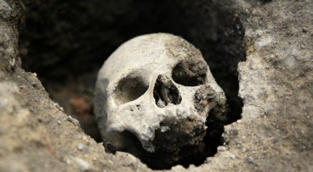 млада прелюбодейка закована пирони ковчега