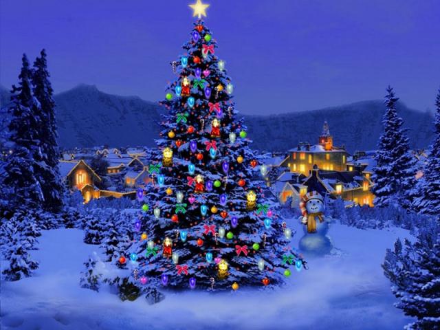 Брюксел без елха заради мюсюлманите 