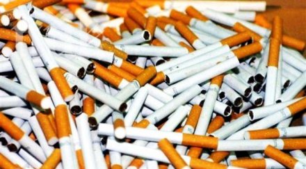 иззеха 4000 къса цигари без бандерол видинско село