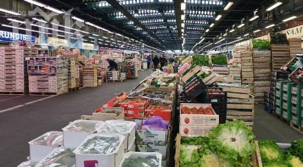 вижте отровните съставки наблъскани опаковките храните коледа