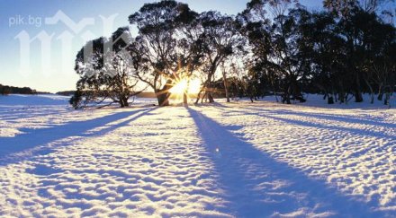 горещите обединени арабски емирства търгуват сняг коледно настроение