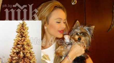 мара отварачката счупи рекорда кич купи златна елха бона