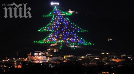 висока метра елха краси площад независимост украйна