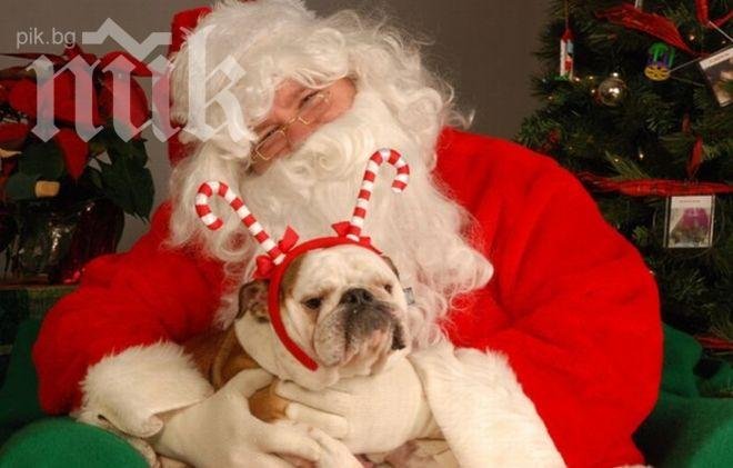 Кръшкачи пращат Дядо Коледа да раздава подаръци на любовниците им 