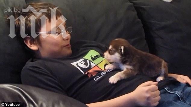 Видеото, което разчувства всички! Момче учи кучето си да лае!