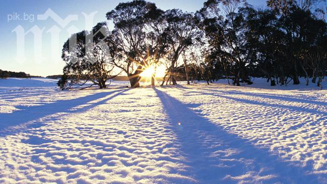 В горещите Обединени арабски емирства търгуват със сняг за коледно настроение