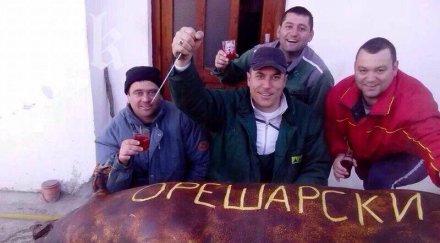 снимка закланото прасе орешарски взриви интернет