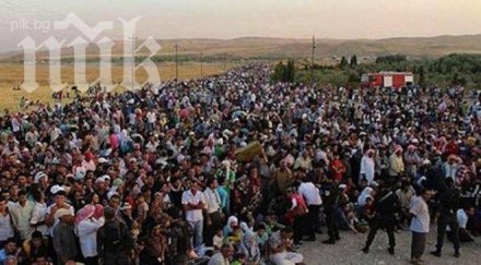 турските кюрди подкрепят борбата сирийските кюрди автономия