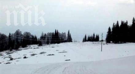 температурен рекорд 82° измерен черни връх