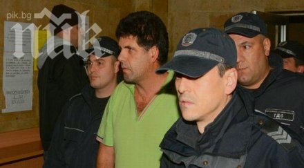 поискаха постоянен арест крокодила