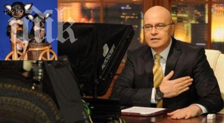 гаджето слави скръндзи подарява кученца нарисувани тениска