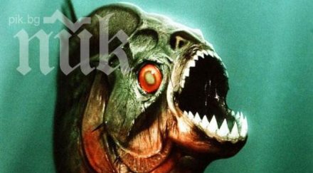 свирепи пирани изхапаха кръв души