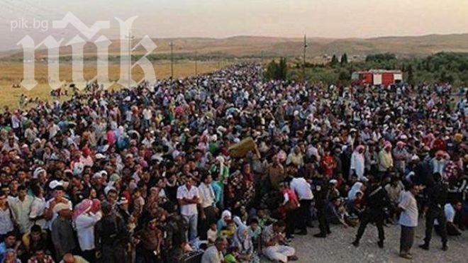 Турските кюрди подкрепят борбата на сирийските кюрди за автономия