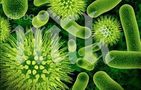 8 души починаха в Сърбия, заразени със смъртоносна бактерия