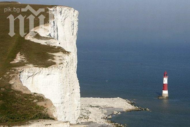 Куче падна от 100 метра! Размина се без драскотина! (снимки)