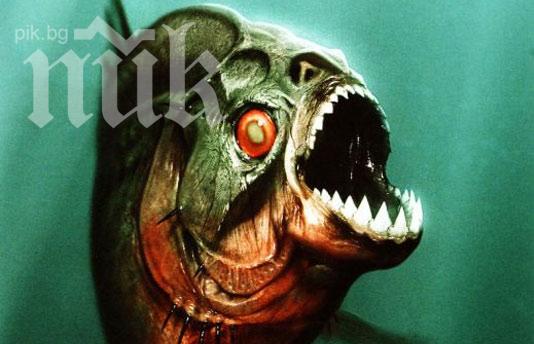 Свирепи пирани изхапаха до кръв 60 души