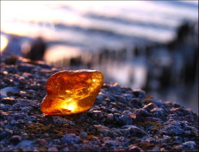 Намериха скривалище с кехлибар за 22 млн. евро 