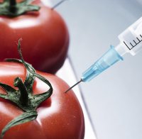 Тровят ни с ГМО, държавата нехае