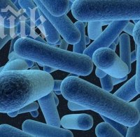 Супербактерия уби осем души в Сърбия