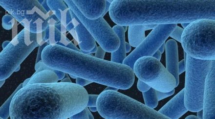 супербактерия уби осем души сърбия