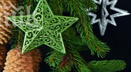 руски водолази сложиха елха дъното река лена