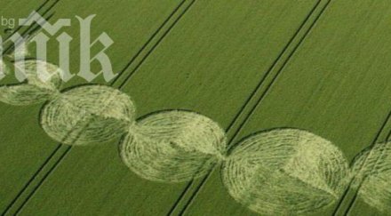 мистерия странни кръгове появиха нива