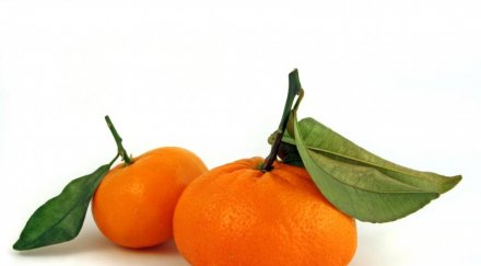 mандарини астма бронхит