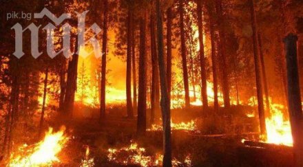 трагедия годишен загина пожар вилна зона врана