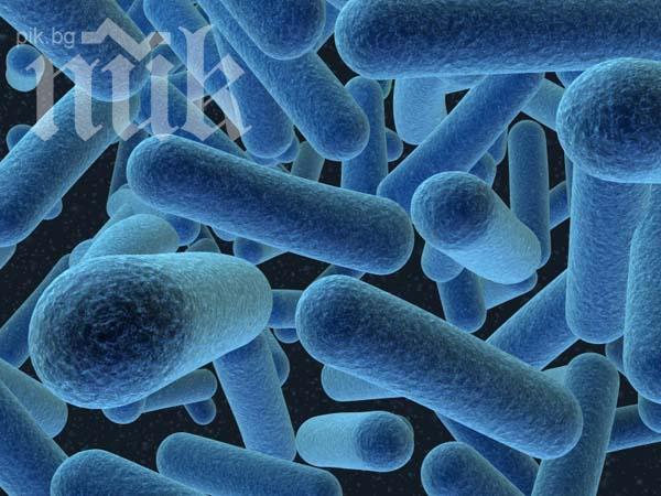 Супербактерия уби осем души в Сърбия