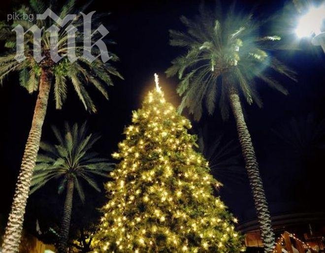 Мика Стоичкова в Маями с гаджето (снимки)