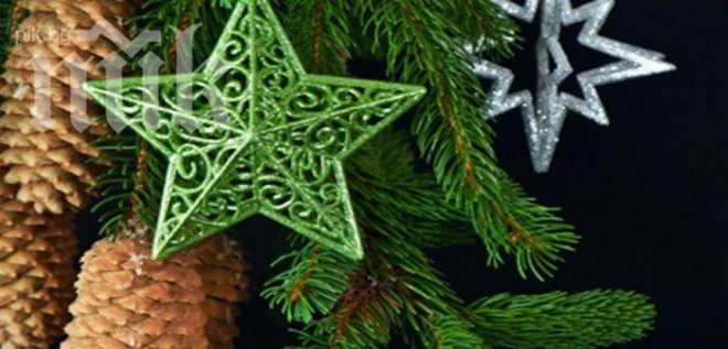 Руски водолази сложиха елха на дъното на река Лена