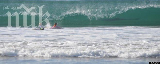 Кошмар! Баща снима децата си в морето! На фотоса на метри от тях излезе и... акула!