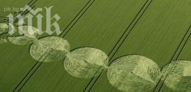 Мистерия! Странни кръгове се появиха в нива