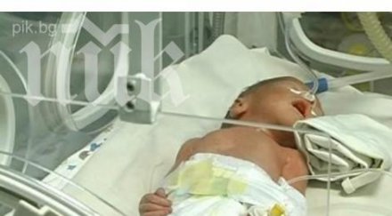 бебета родени декември плевен