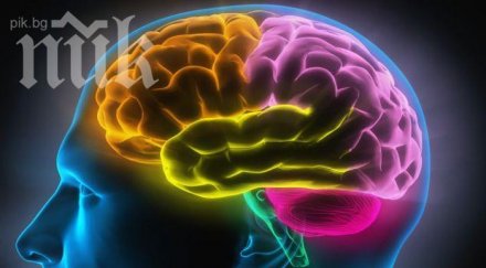 уникално разкритие религиозните хора имат голям мозък