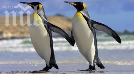 британка покори южния полюс велосипед