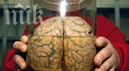 младеж краде мозъци продава bay