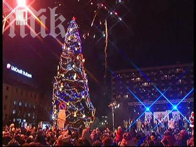 Задигнаха къщата на Дядо Коледа до елхата в София