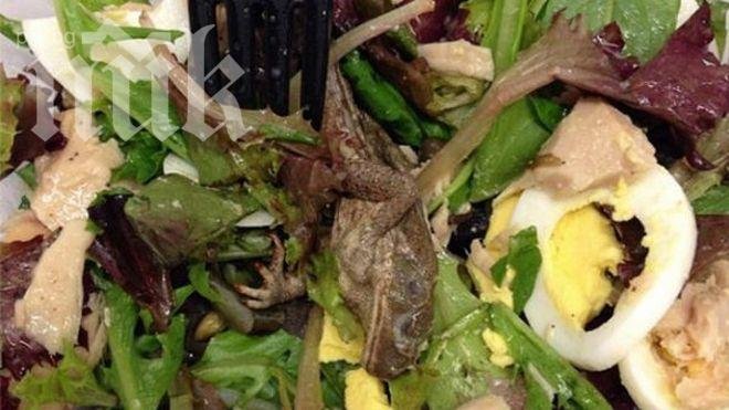 Гадост! Сервираха на жена салата с мъртва жаба (снимка)