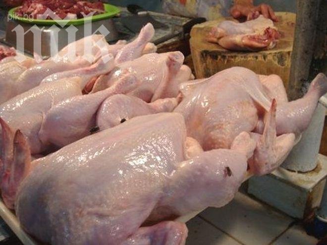 Конфискуват ТИР с пилешки бутчета 