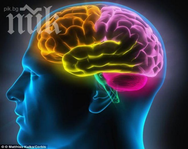 Уникално разкритие! Религиозните хора имат по-голям мозък 