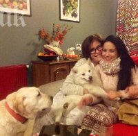 Катето Евро чака внуче