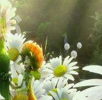 Какъв цвят е аурата на името ви? Вижте уникална таблица!