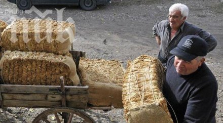 тютюнопроизводителите отменят протеста
