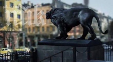 деси чуколов лъвовете съдебната палата звезди клип атака станал хит интернет видео