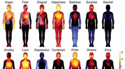 вижте части тялото реагираме различните емоции снимка