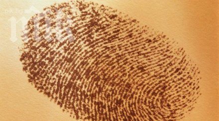 германия снема отпечатъци